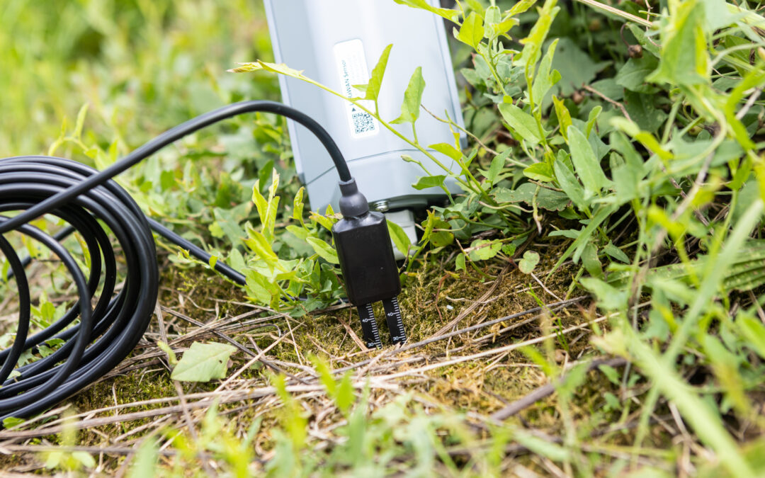 Smartfarming in Ludwigsburgs Steillagen